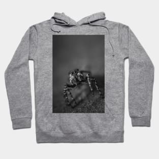 Scurry, Macro Jumping Spider Black and White Photo Hoodie